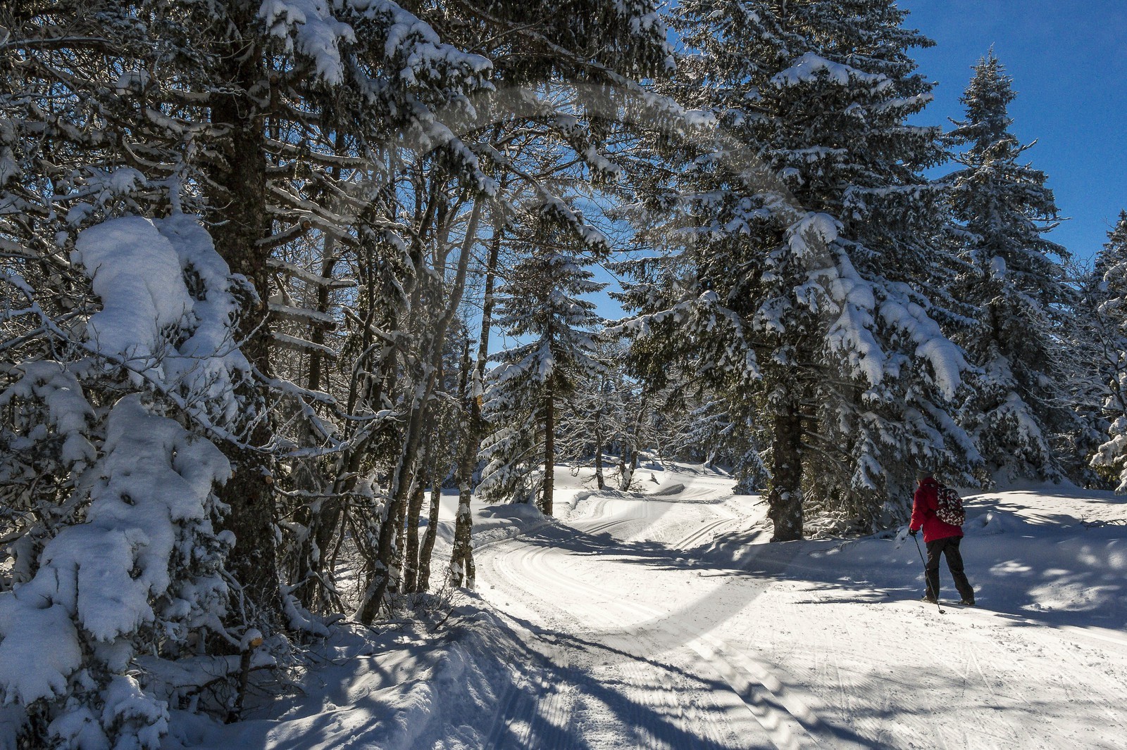 ENS de l'Isère, Plateau de la Molière et du Sornin