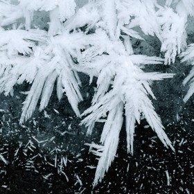 Délices de gel
