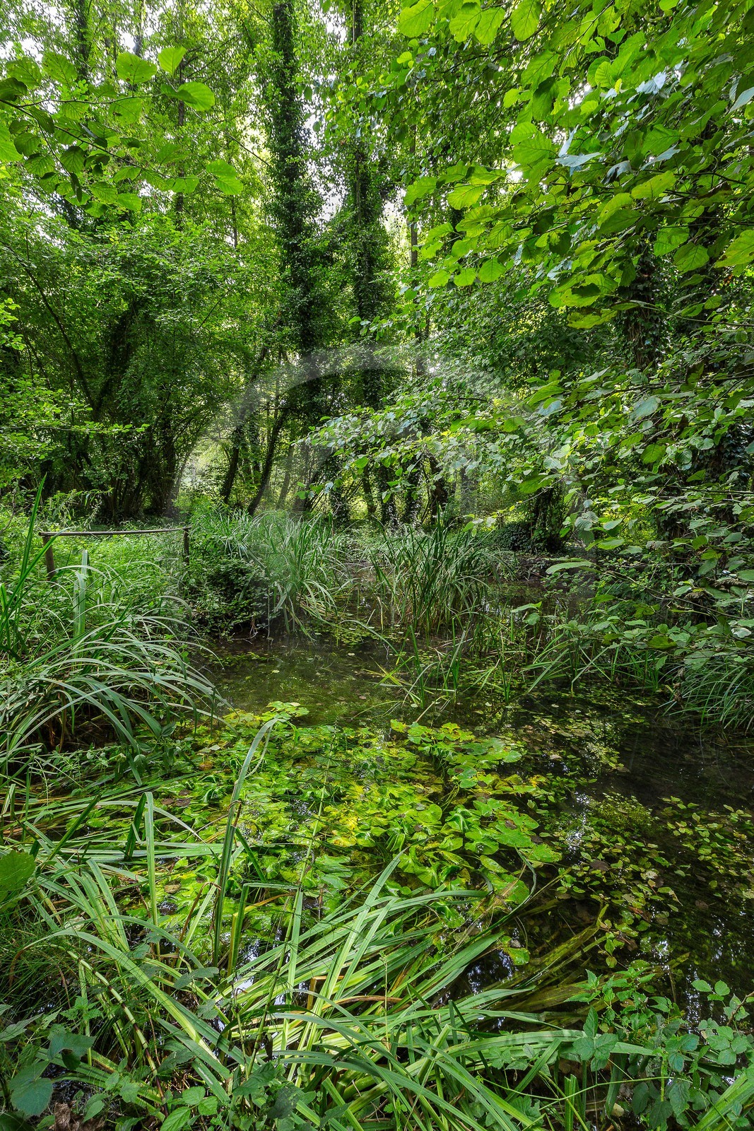 ENS de l'Isère, Boucle des Moïles