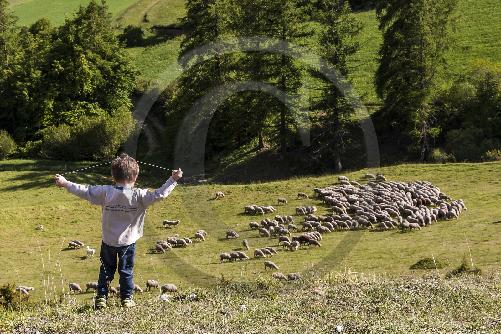 Ferme des Sonnailles, famille Pellissier