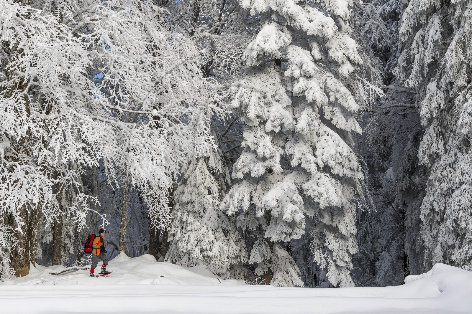 ENS de l'Isère, Les Ecouges