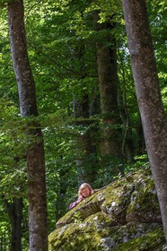 Alpes de Haute-Provence, hêtraie de Pontis