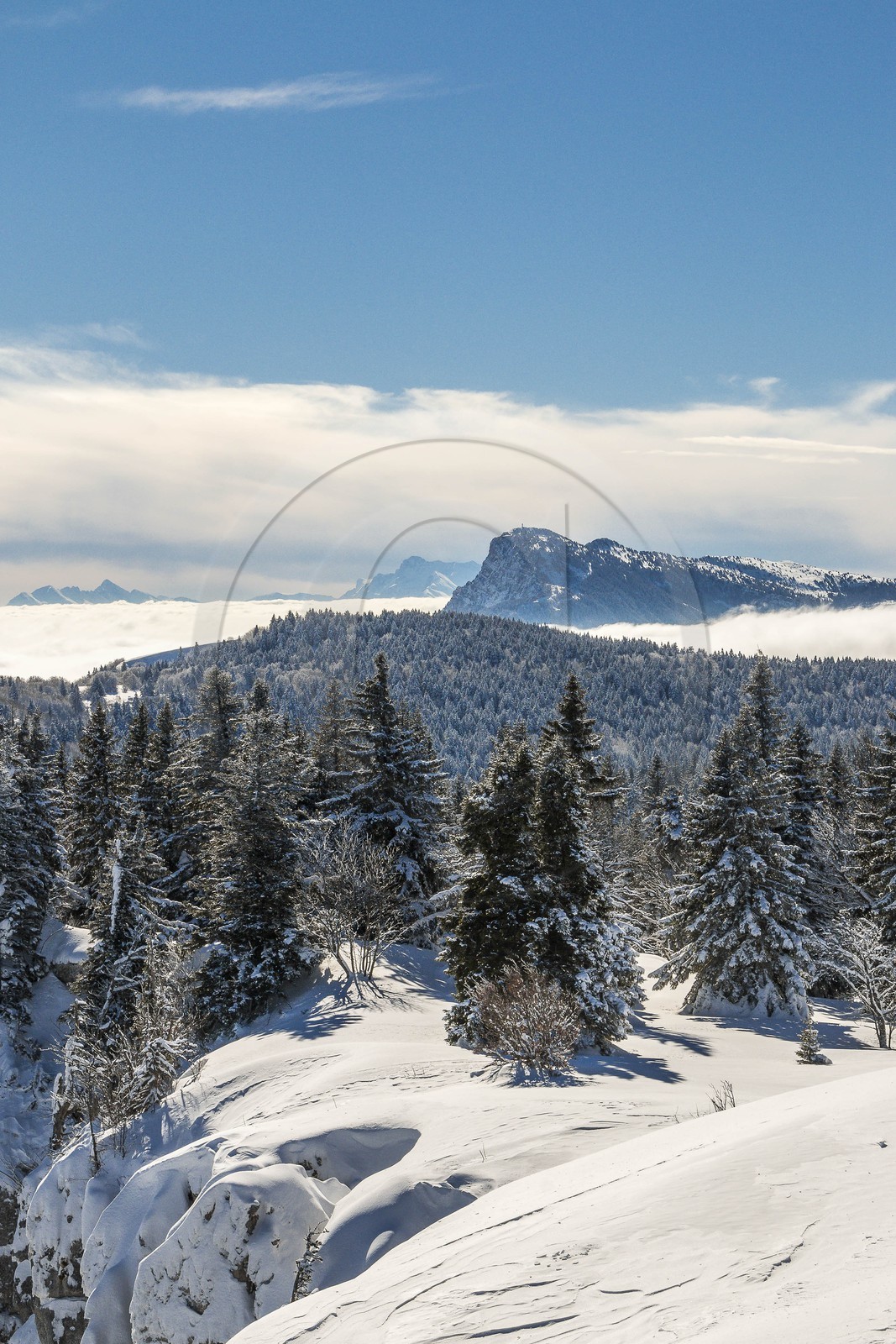 ENS de l'Isère, Plateau de la Molière et du Sornin