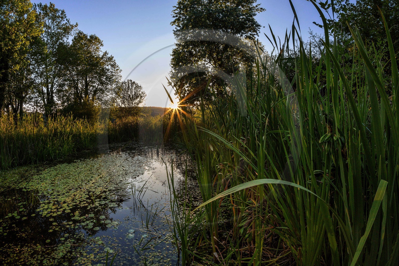 ENS de l'Isère, , le méandre des Oves