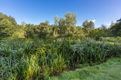 ENS de l'Isère, étang de Mai