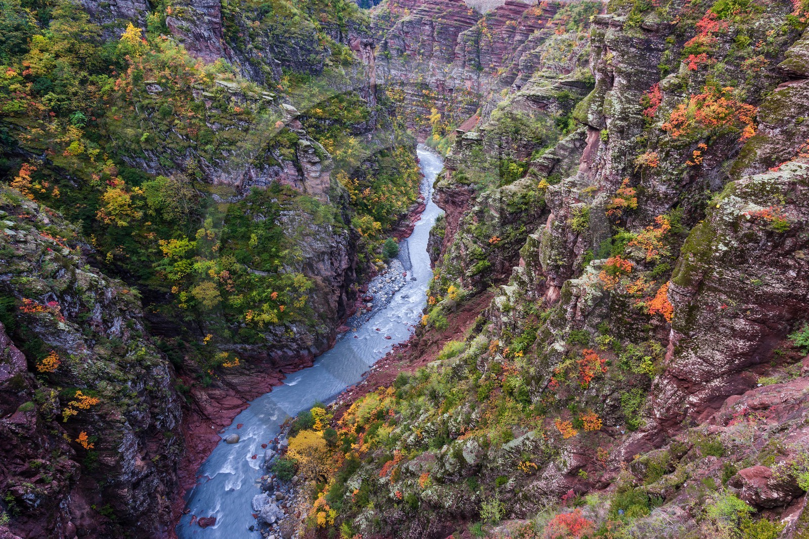 Gorges de Daluis