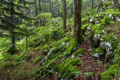 ENS de l'Isère, Les Ecouges