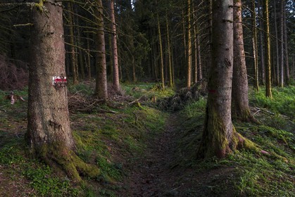 ENS de l'Isère, Marais des Seiglières