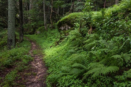 ENS de l'Isère, Les Ecouges