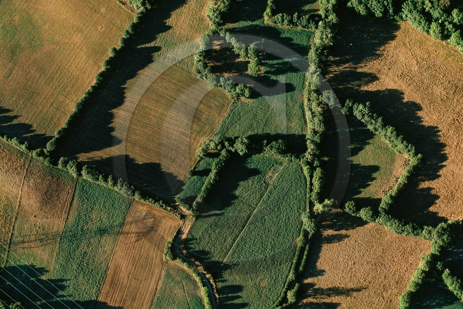 Vallée du Champsaur, le bocage