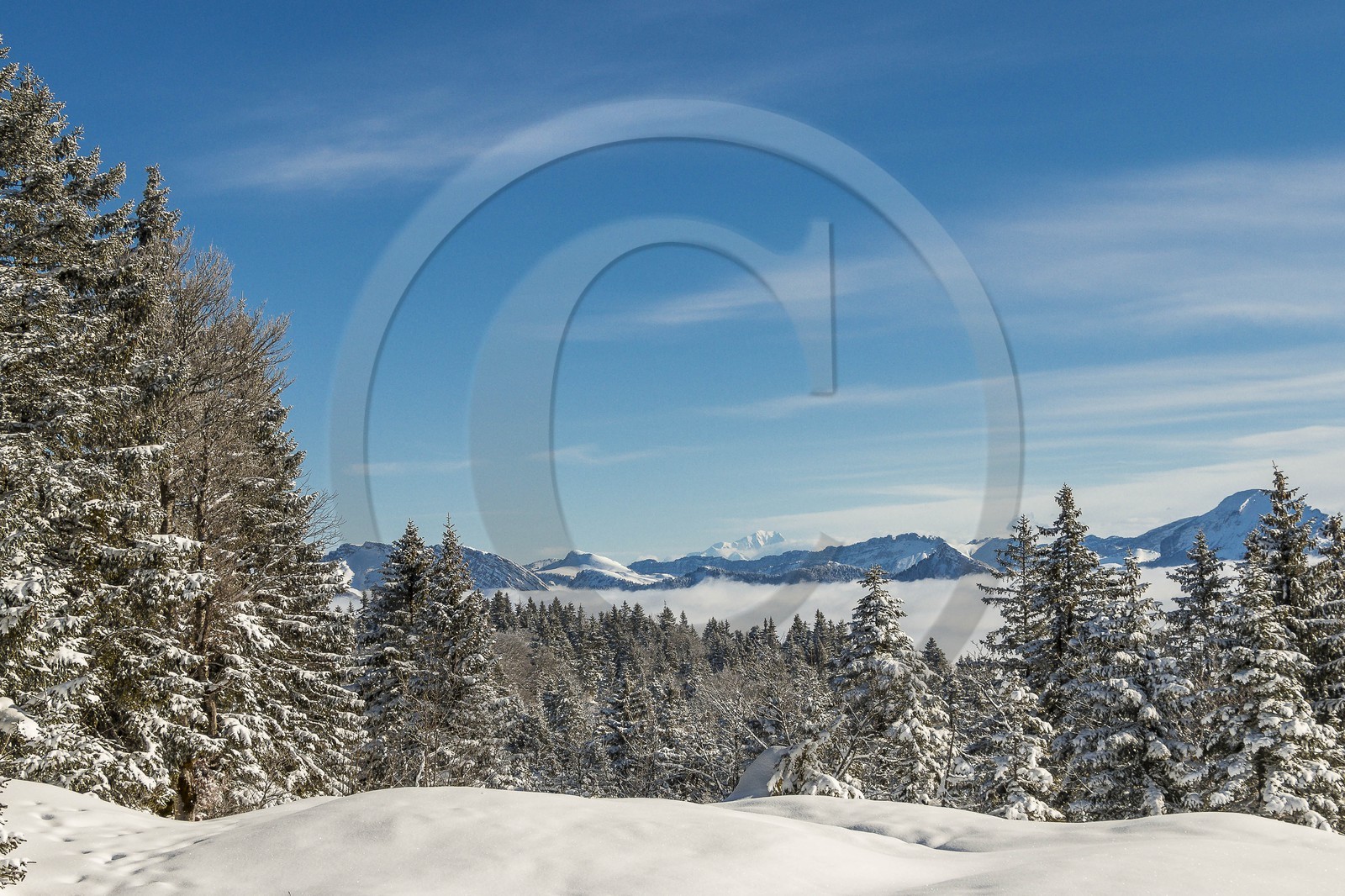 ENS de l'Isère, Plateau de la Molière et du Sornin