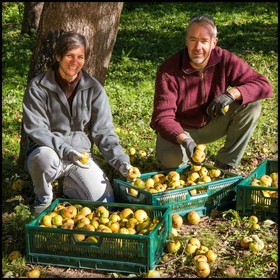 Etablissement Gayral, producteur de jus