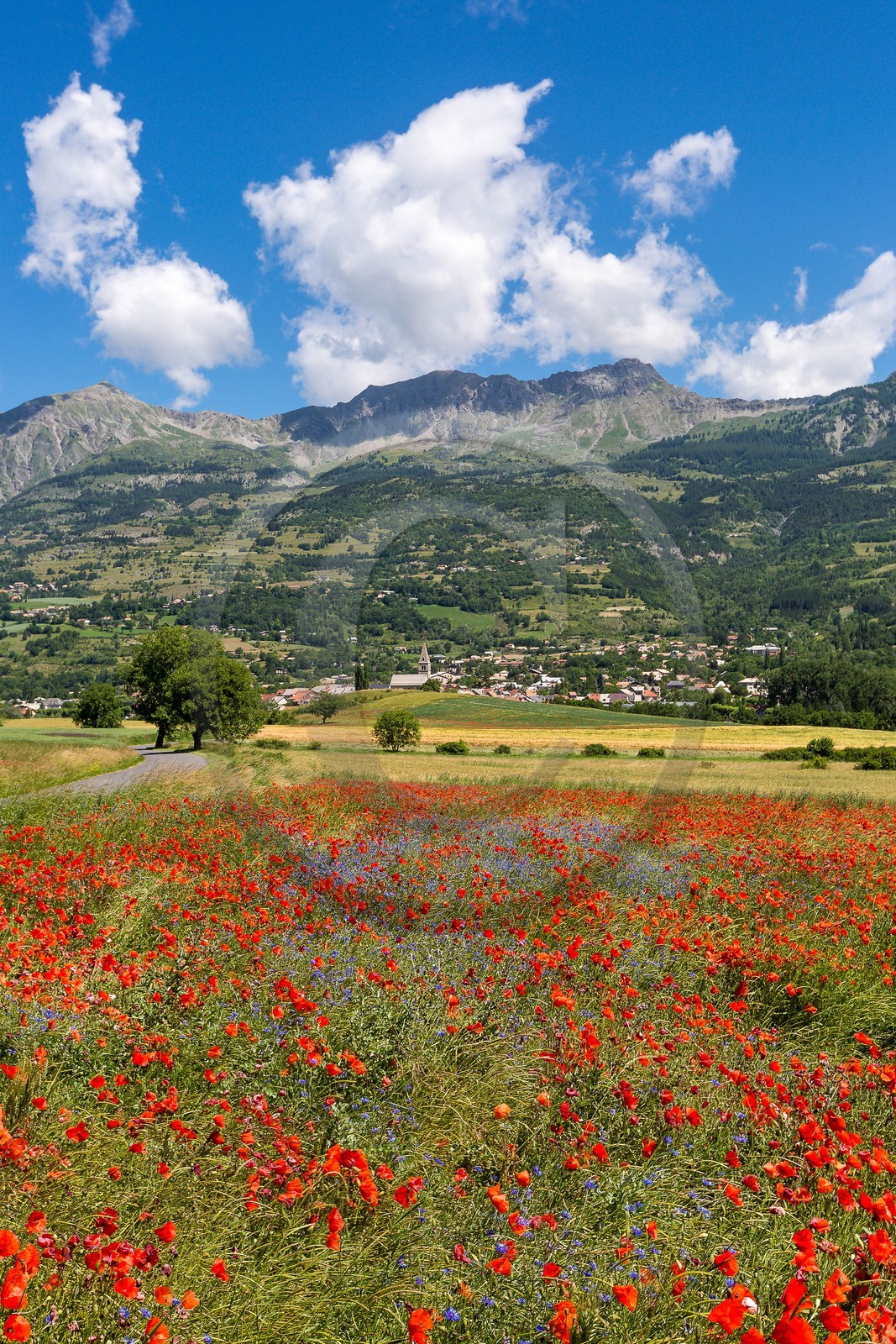 Pays de Serre-Ponçon, village de Chorges