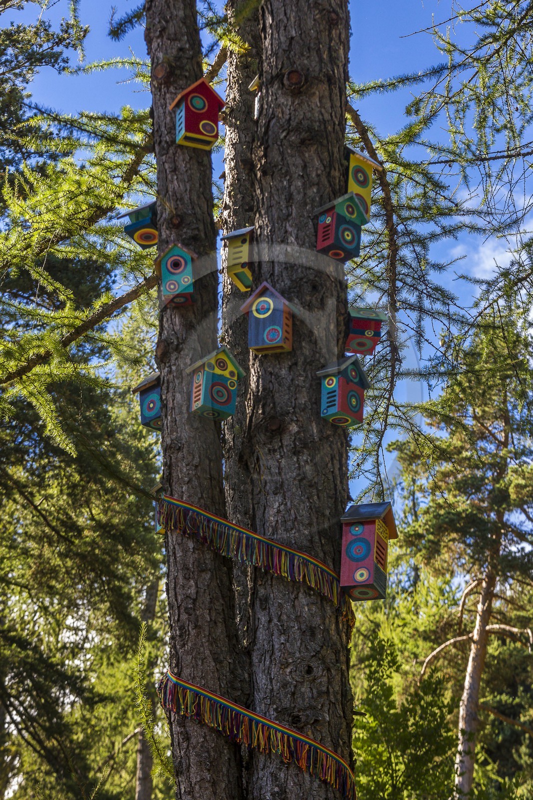 Arboretum de Roure, l'art et l'arbre, Michèle Kleijnen, Peintre Plasticienne