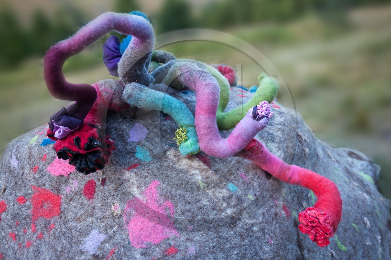 Sentiers Art et Nature Queyras et Val Varaita, Stéphanie Cailleau