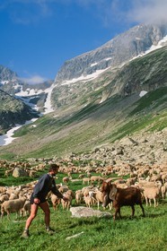 Pierre Barban, berger de l'alpage de la Muzelle