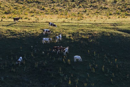 ENS de l'Isère, Plateau de la Molière et du Sornin