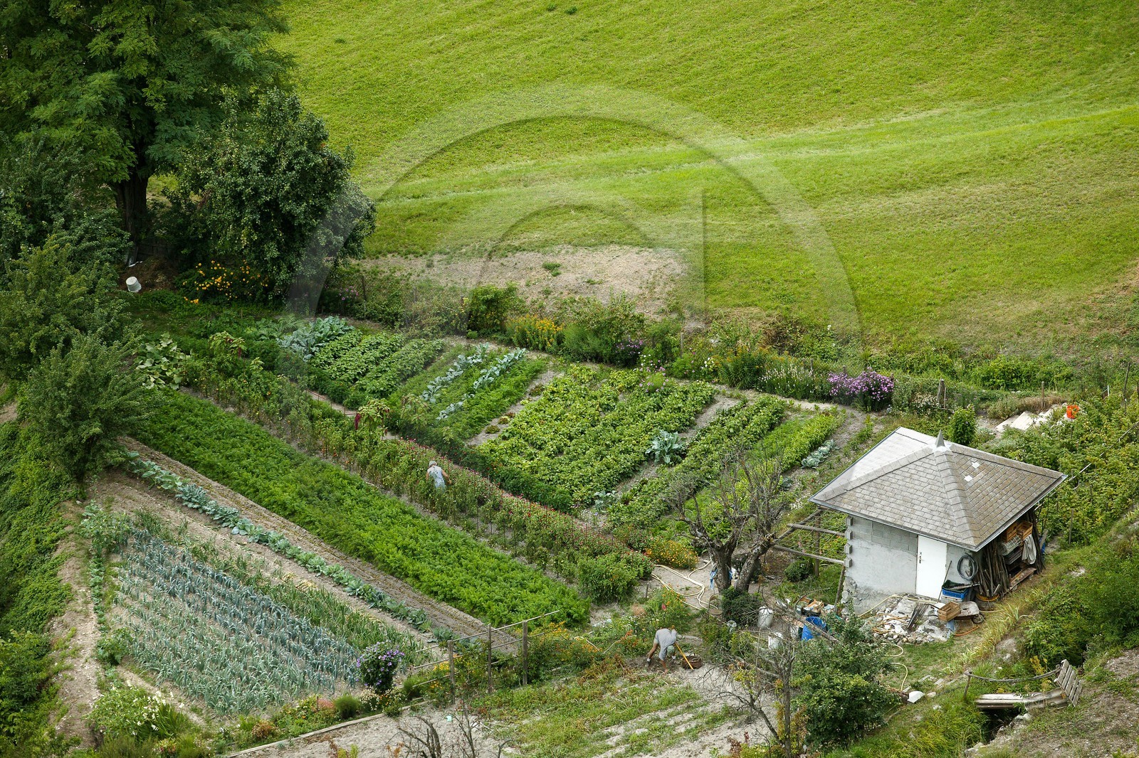 Embrun, Les jardins sous le Roc