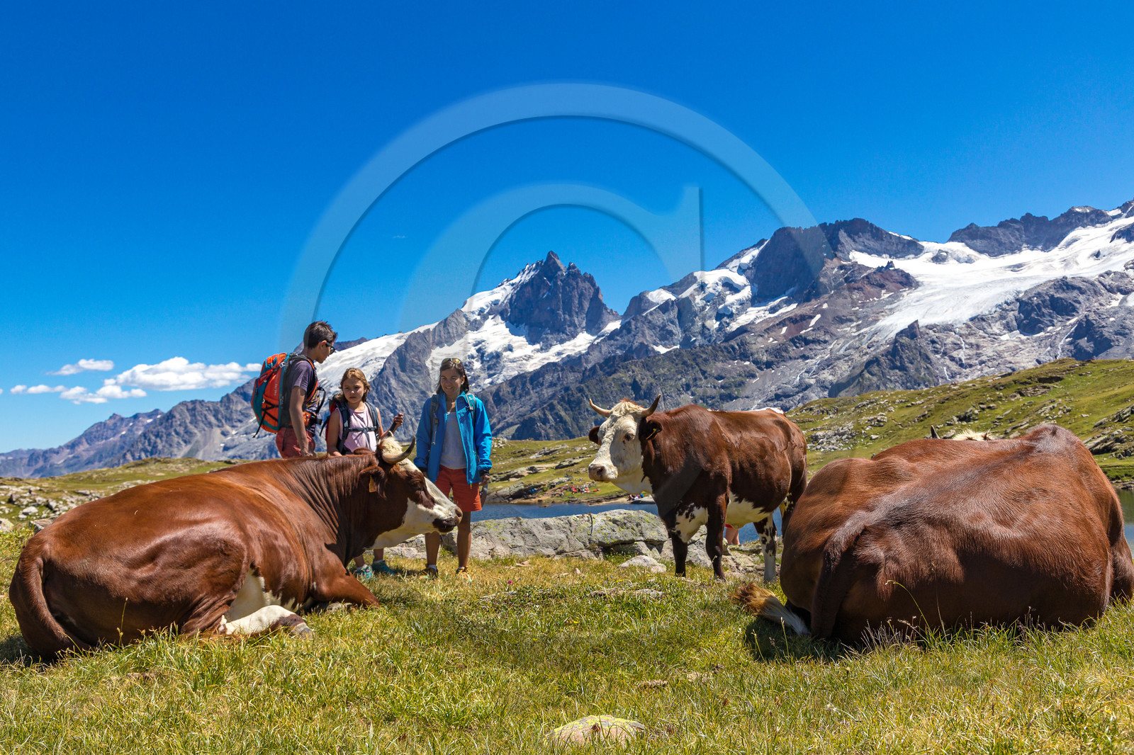 Plateau d'Emparis, randonnée pédestre