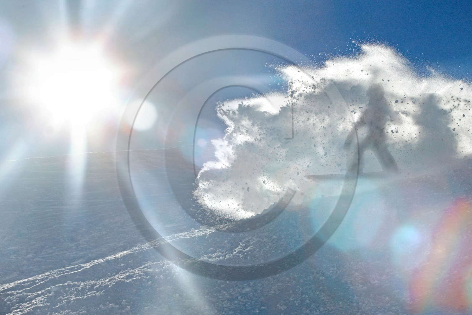 Surf des neige, Snowboard