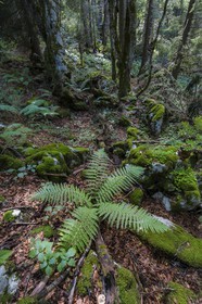 ENS de l'Isère, Plateau de la Molière et du Sornin