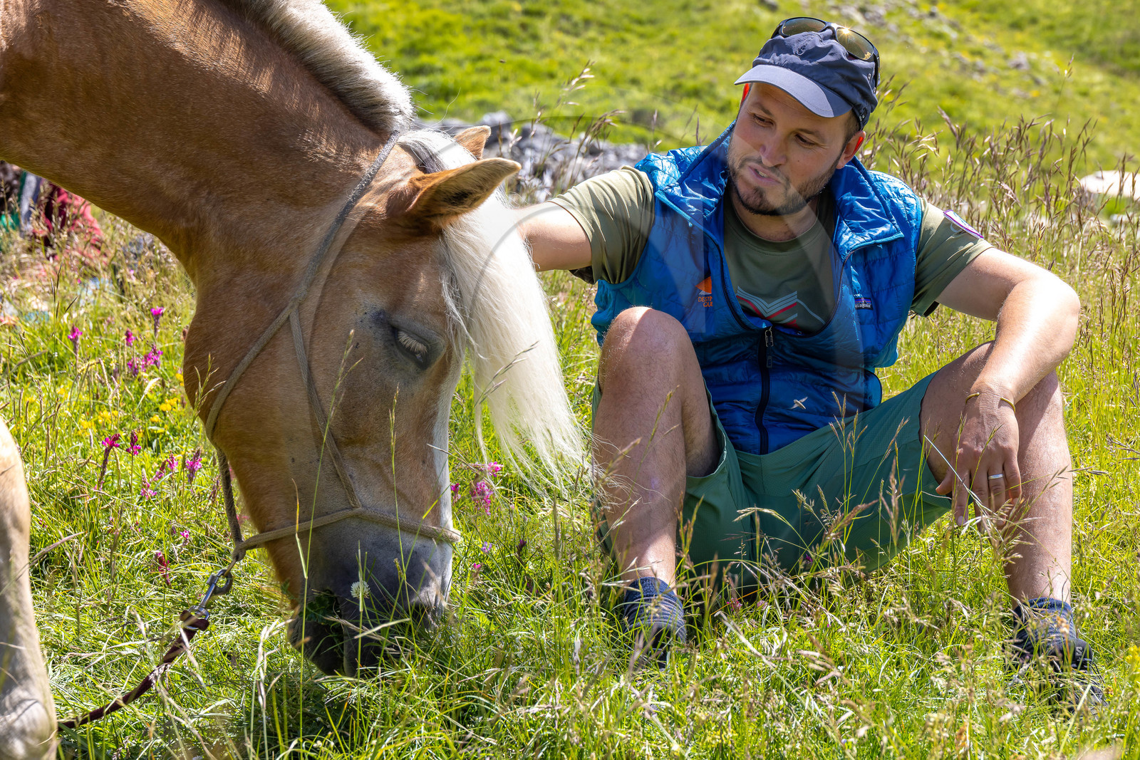 Florian Ehmke, accompagnateur en moyenne montagne et muletier