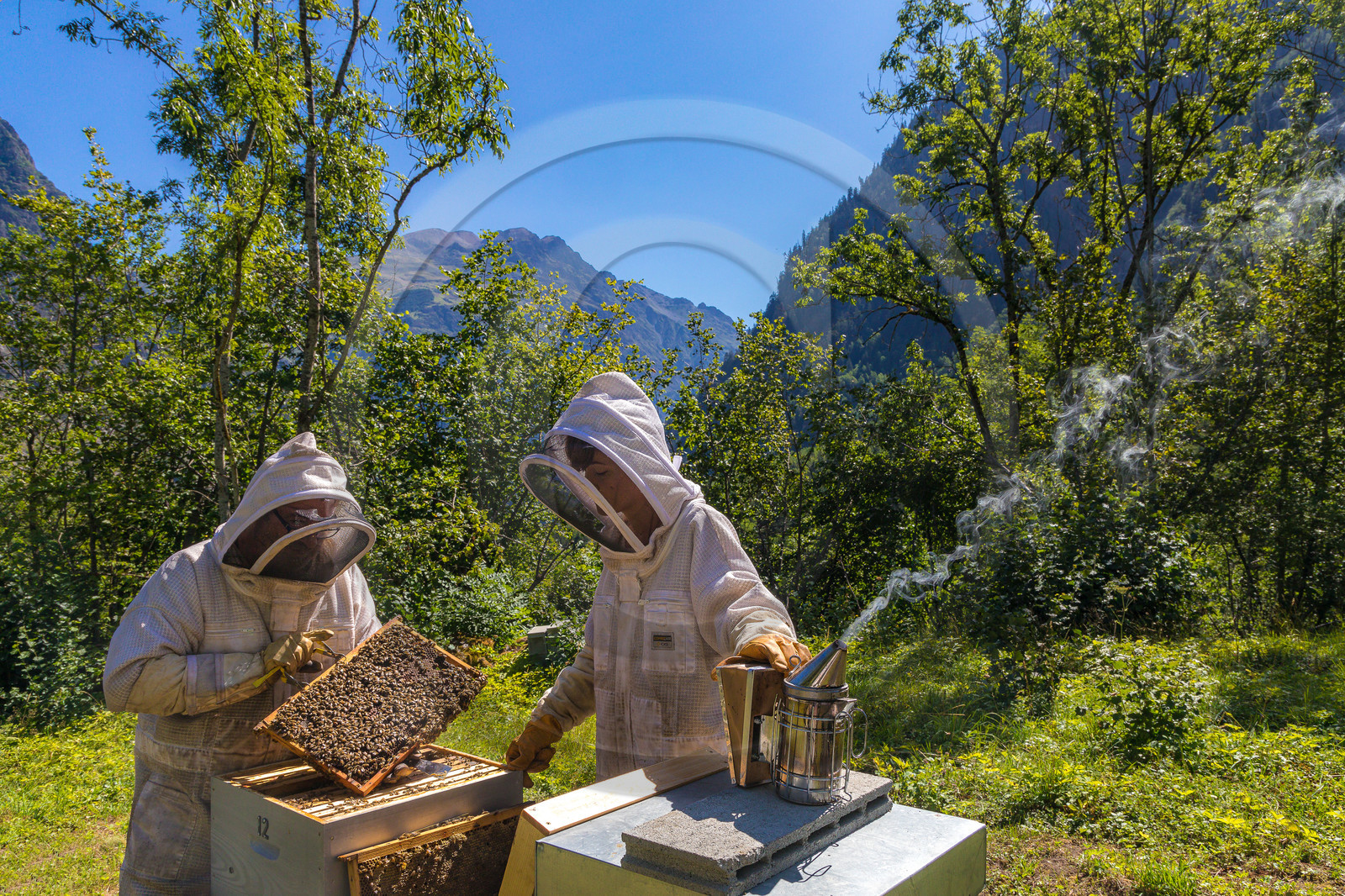 Margaux et Didier Pissard, apiculteurs