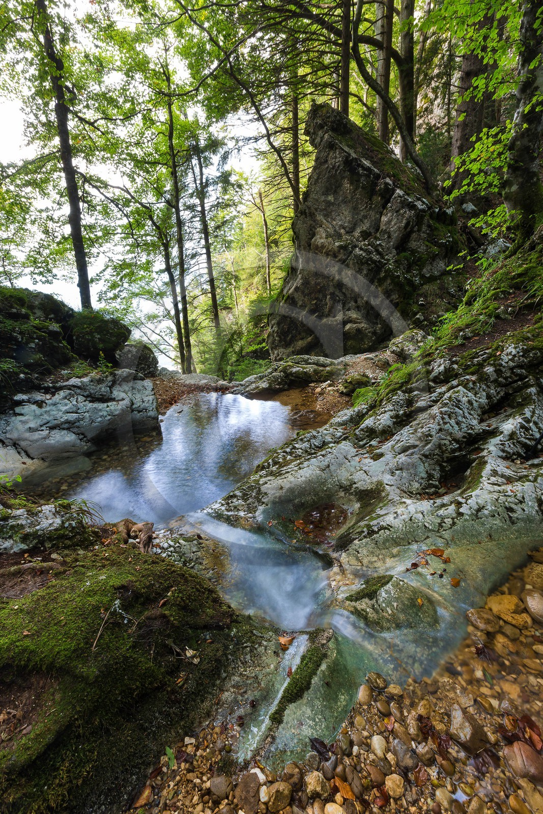ENS de l'Isère, Les Ecouges