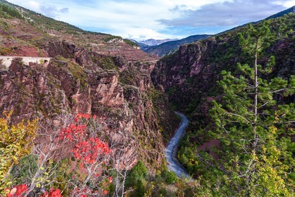 Gorges de Daluis