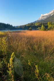 ENS de l'Isère,Tourbières du Peuil