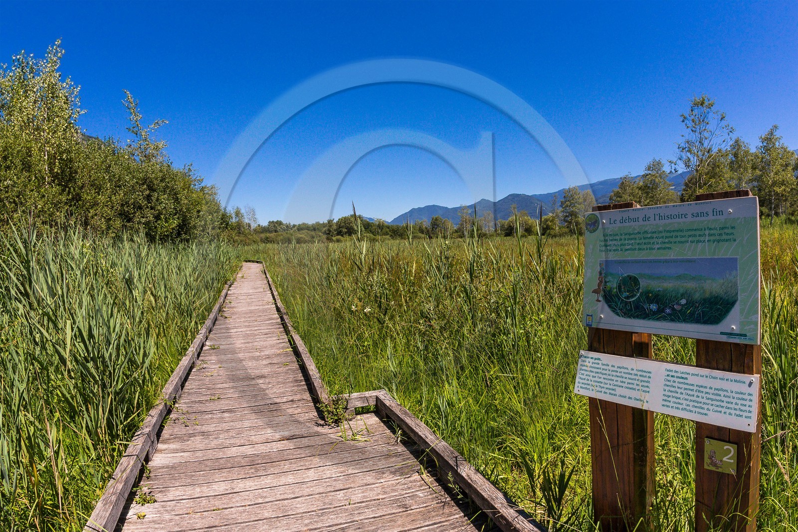 ENS de l'Isère, Marais de Montfort