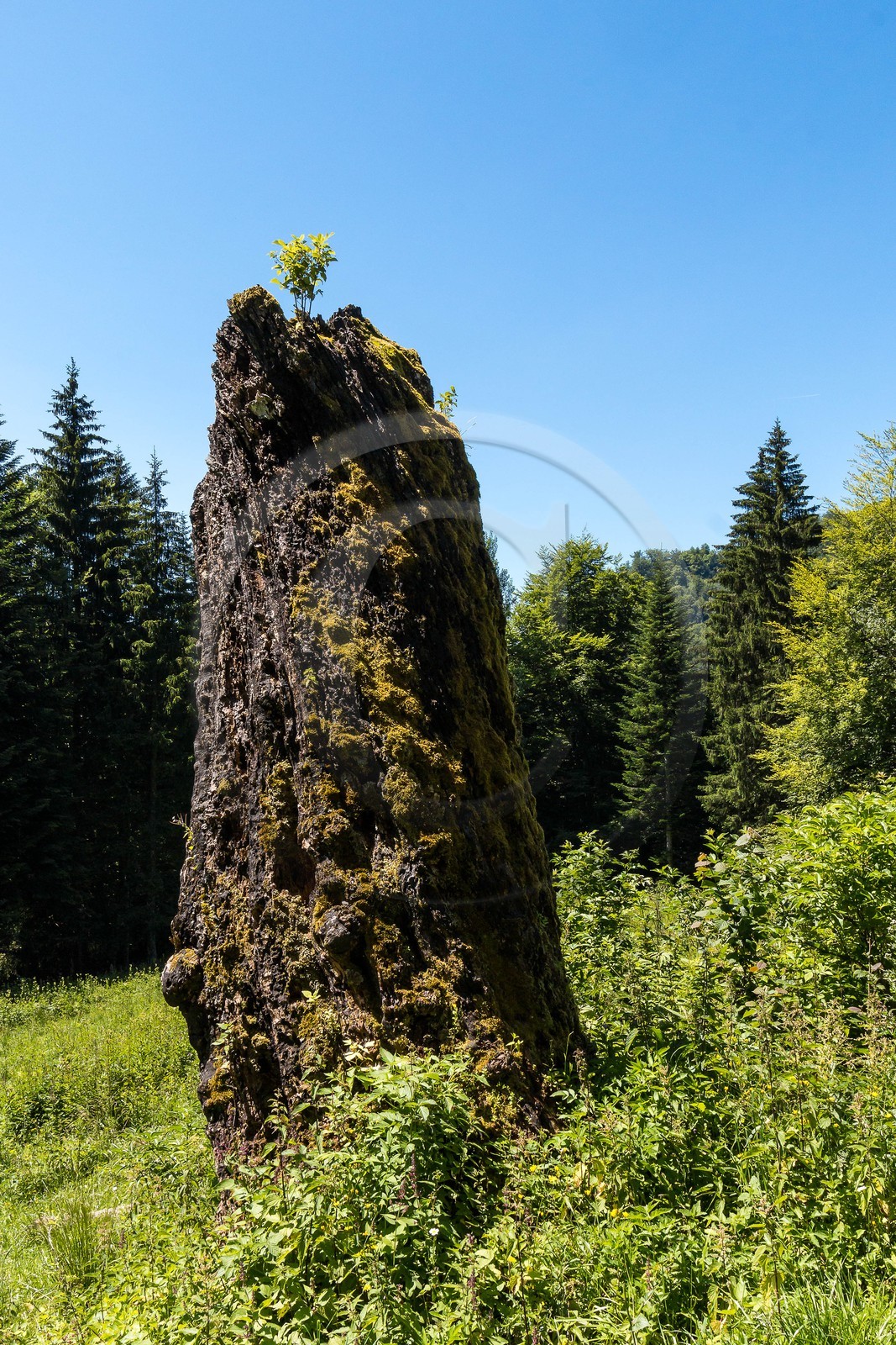 ENS de l'Isère, Les Ecouges