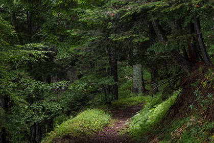 ENS de l'Isère, Les Ecouges