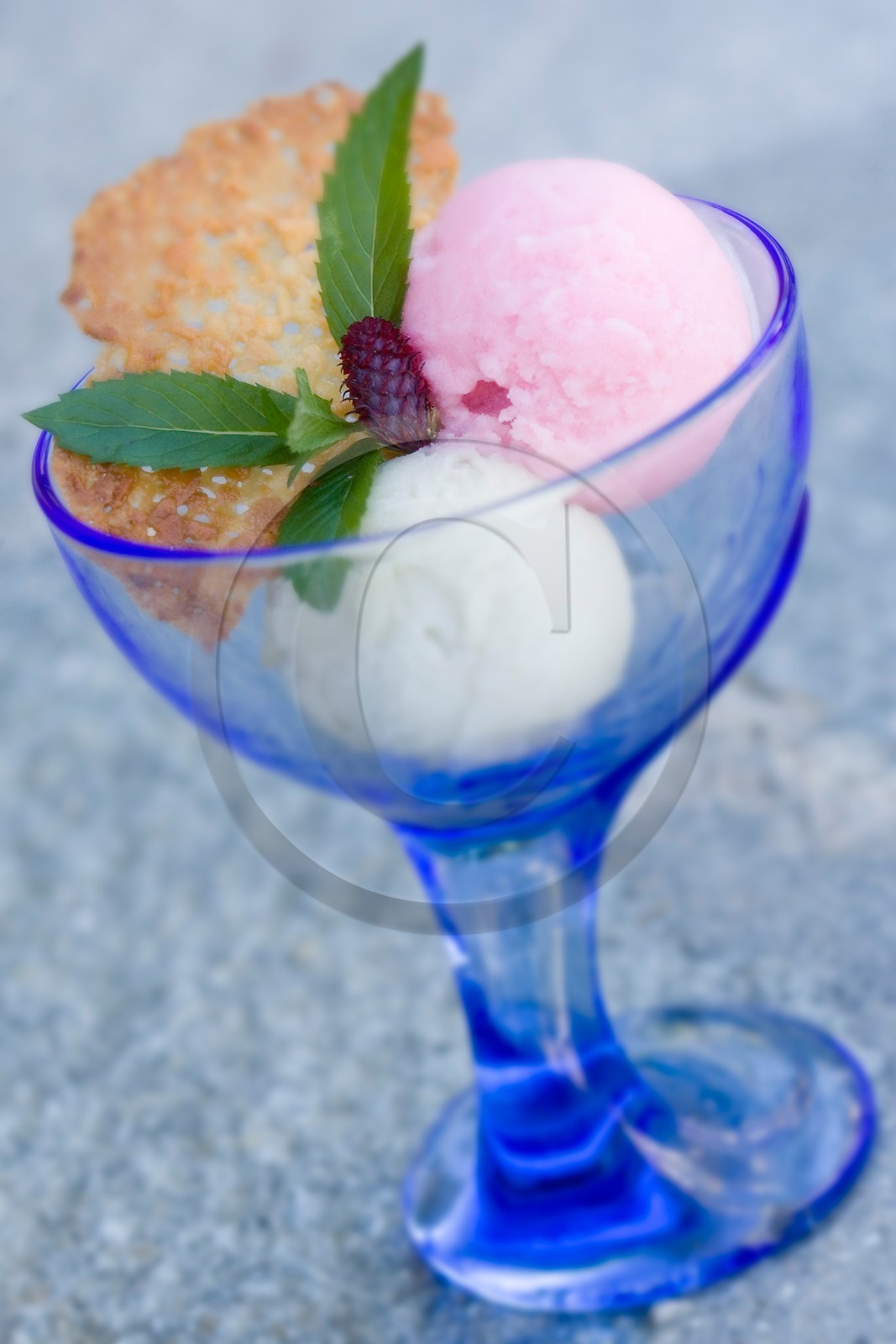 Duo de sorbet fleur de sureau et fleur de mélèze