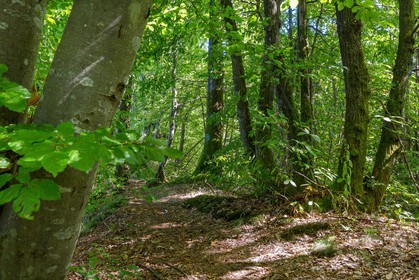 ENS de l'Isère, Etang des Béroudières