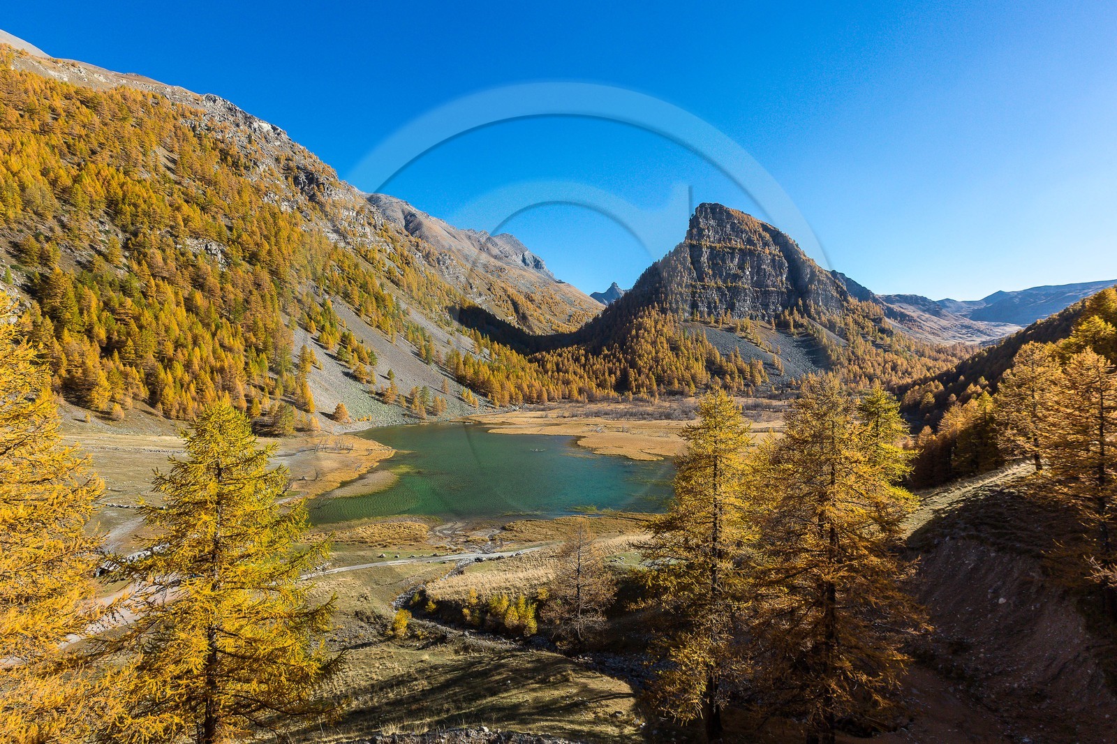 Jausiers, Lac des Sagnes et forêt de mélèzes à l'automne
