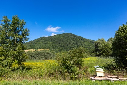 ENS de l'Isère, Marais de Chirens