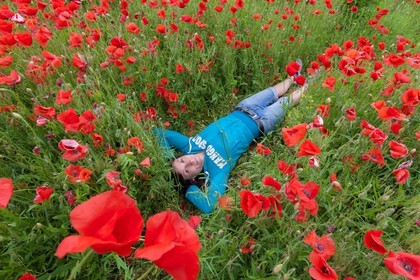 Coquelicot, Papaver rhoeas