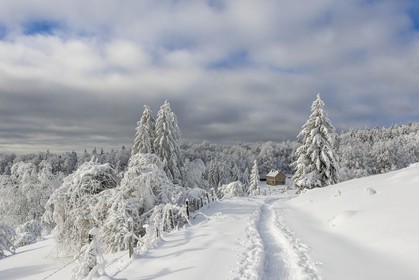 ENS de l'Isère, Les Ecouges