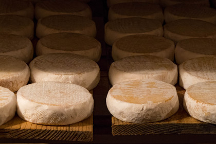 Gaec La chèvrerie des Combettes