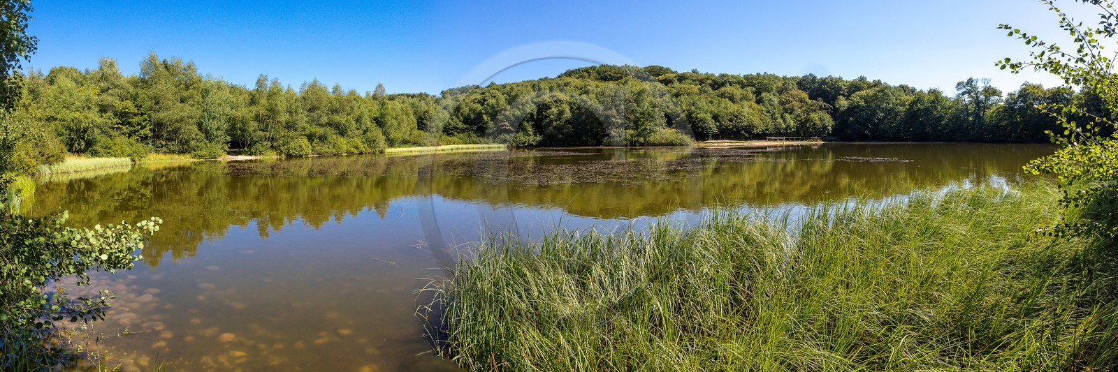 ENS de l'Isère, Etang des Béroudières