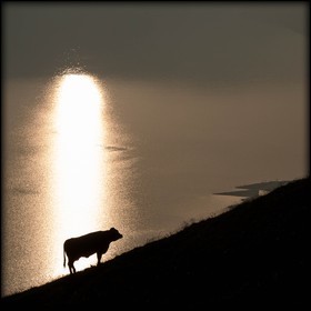 alpages du lac du Mont-Cenis