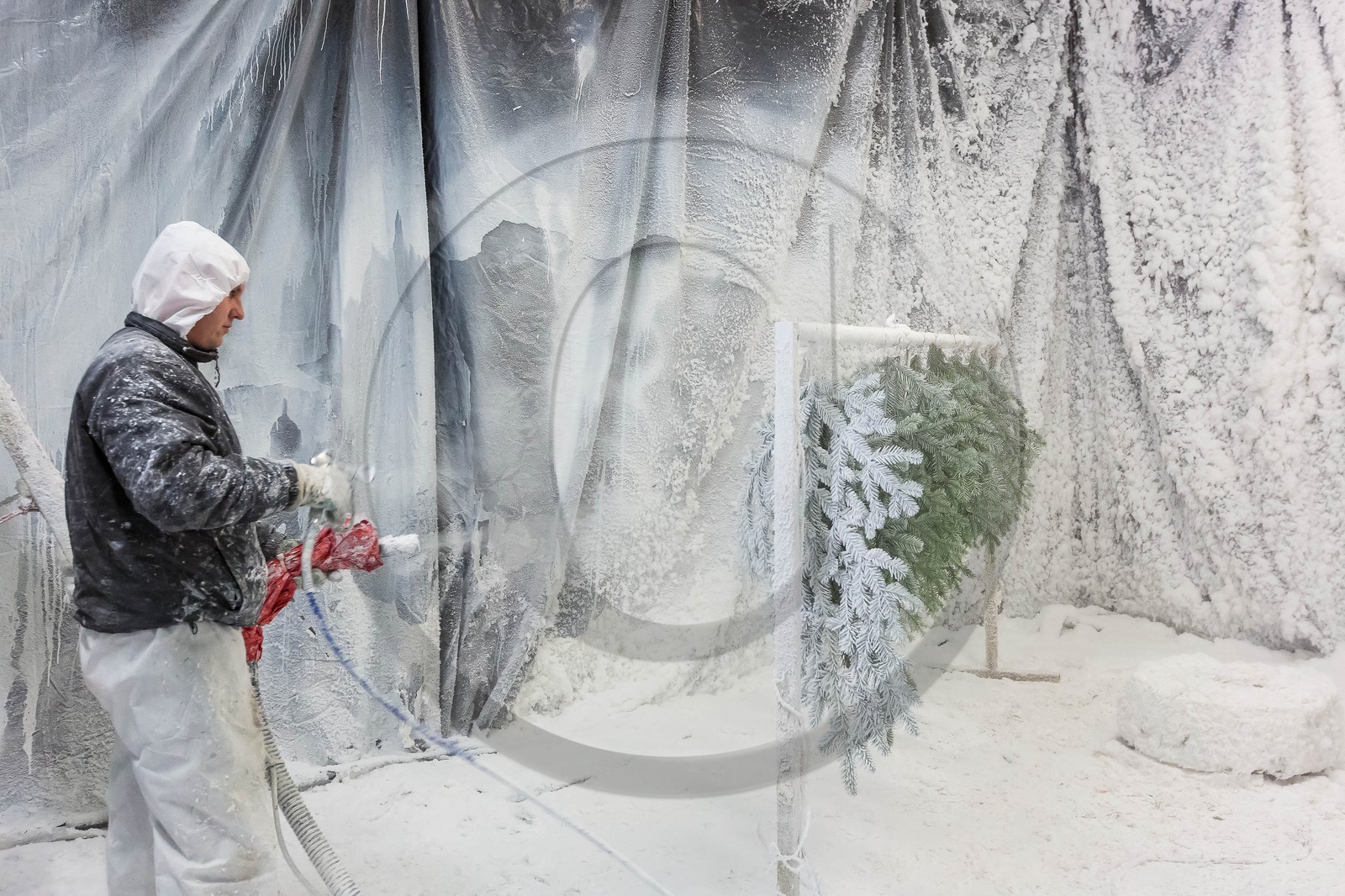 Pépinière Robin, producteur de sapin de Noël