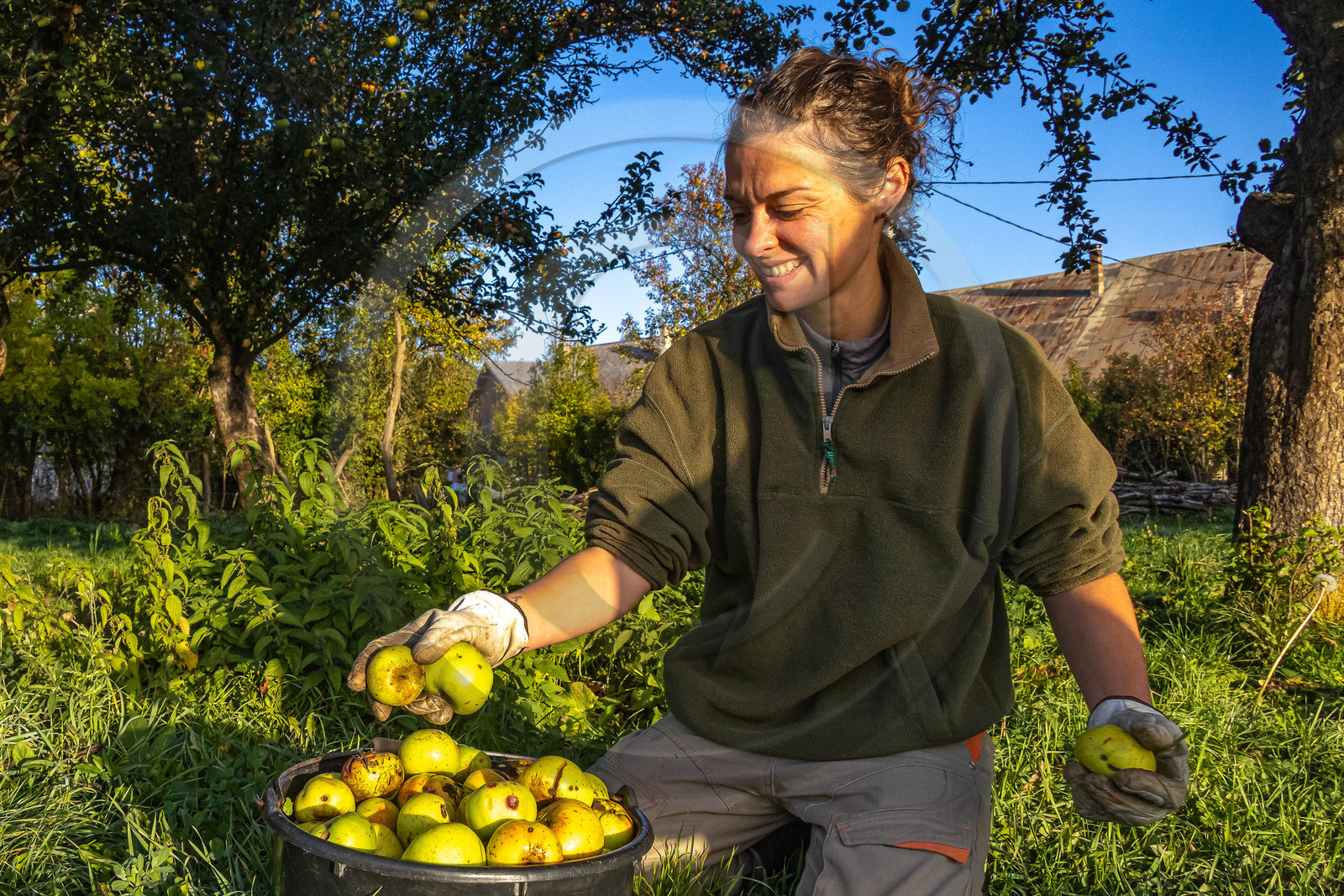 Etablissement Gayral, producteur de jus