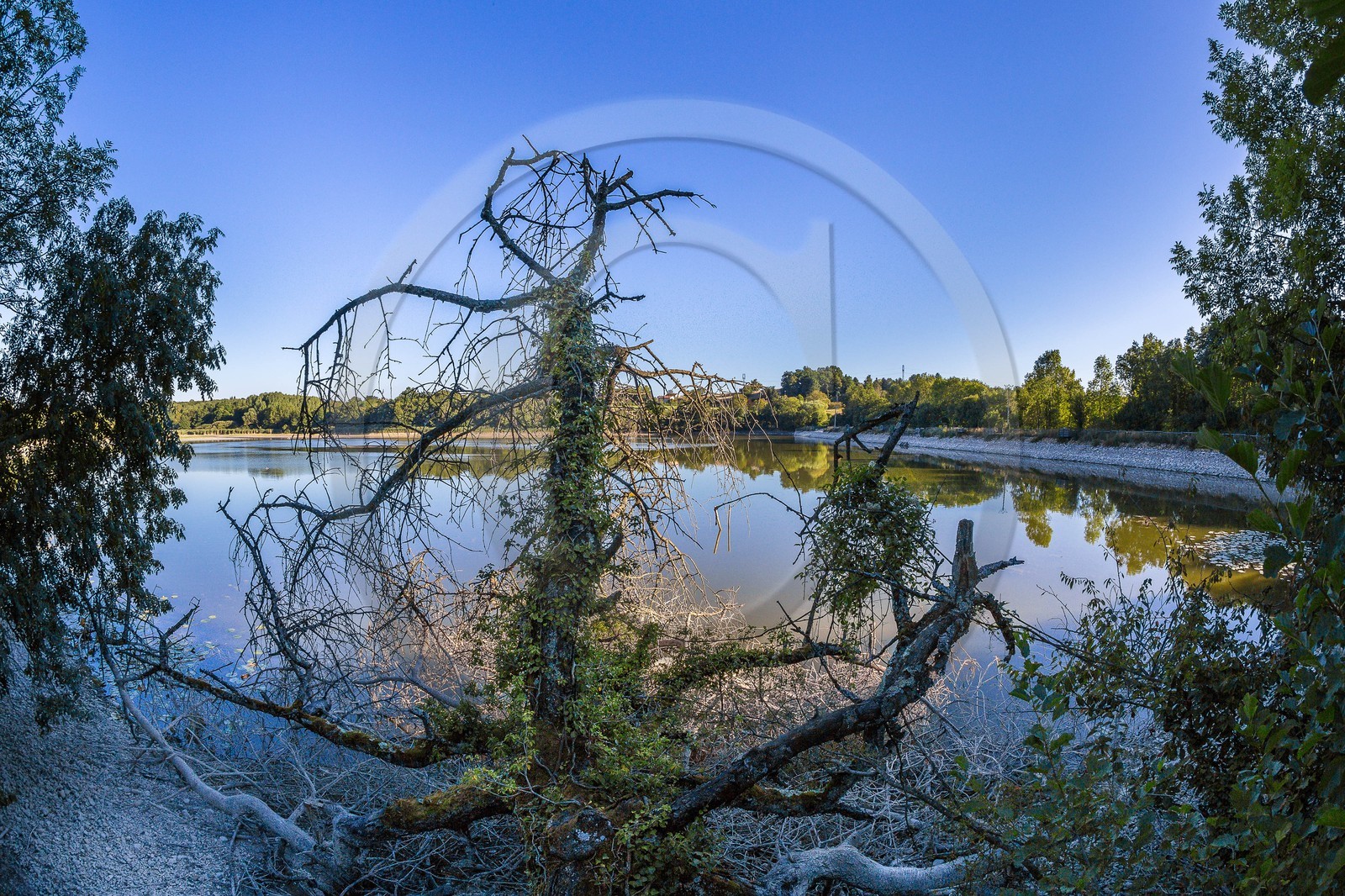ENS de l'Isère, étang de Montjoux