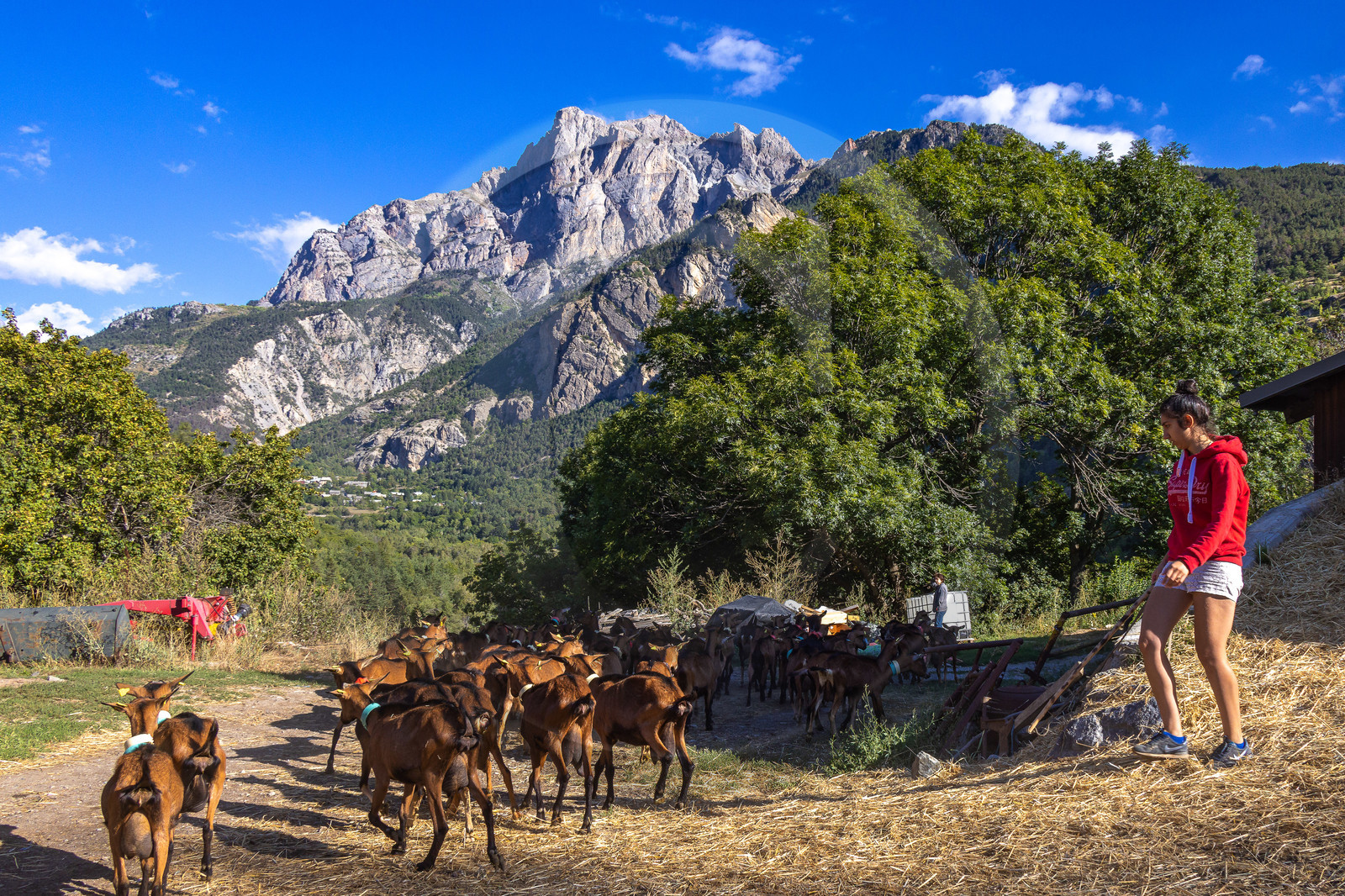 Gaec La Ferme des Ecrins
