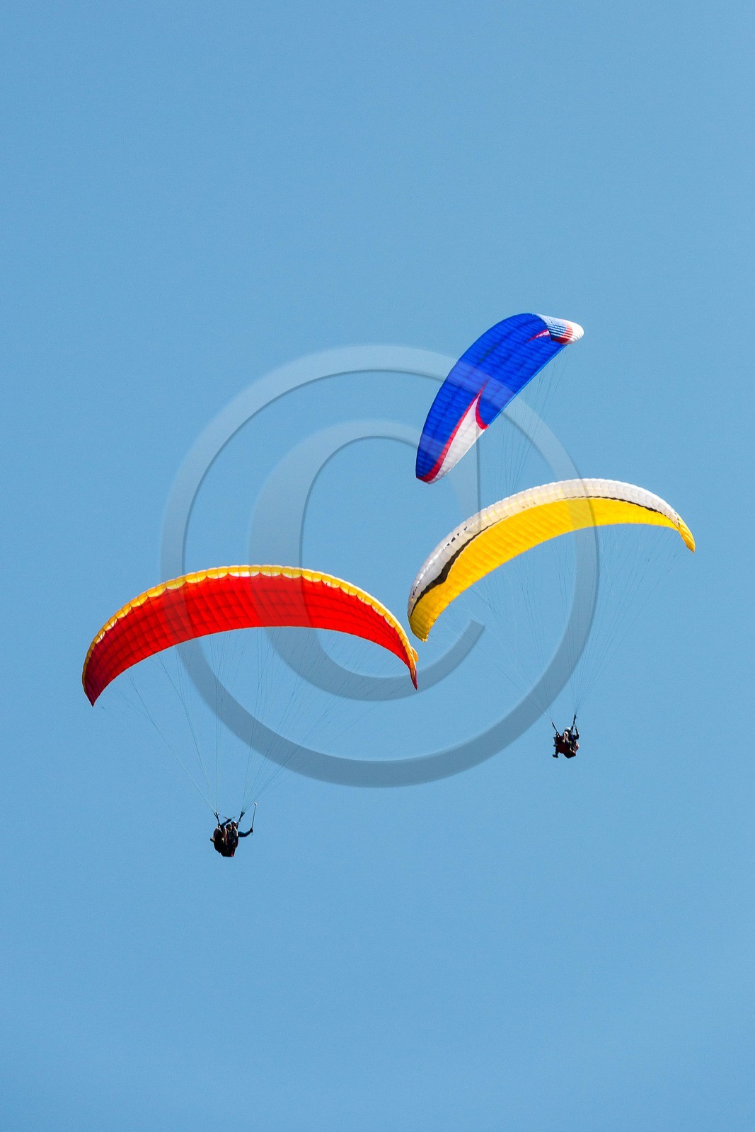 Barcelonnette, Parapente