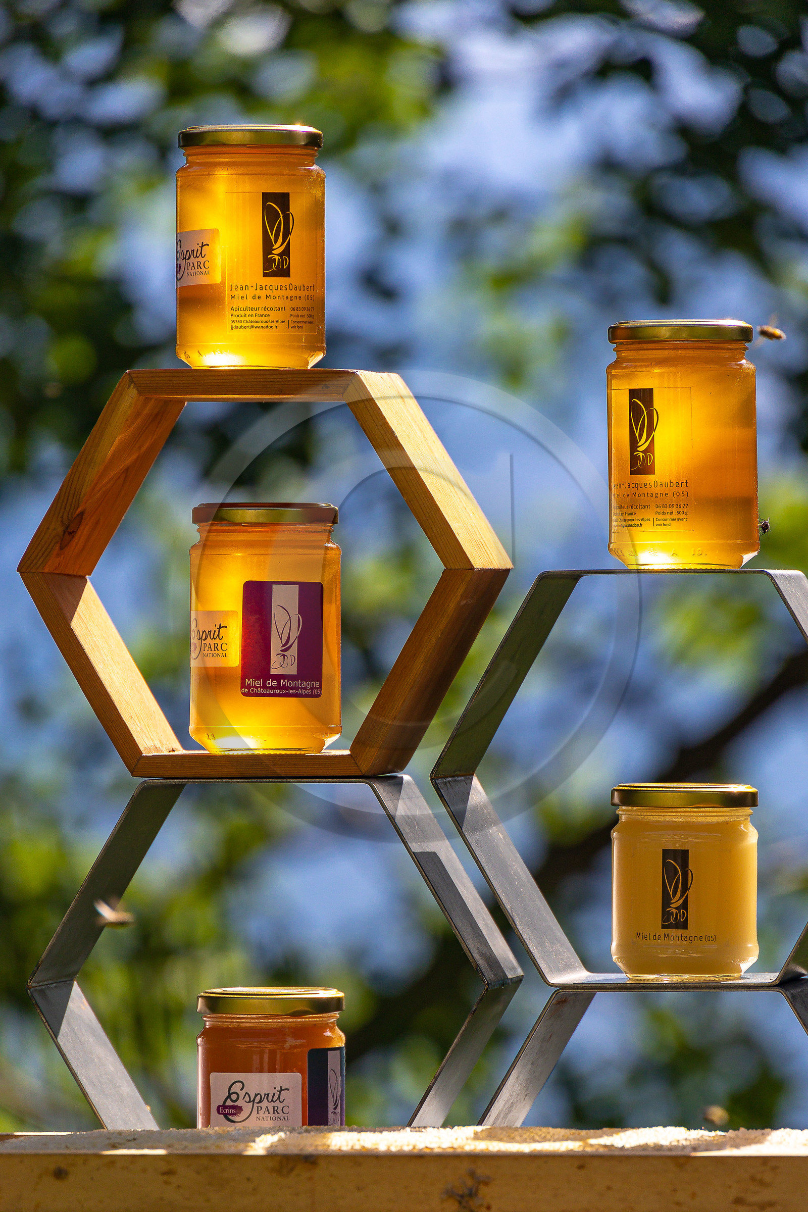 Jean-Jacques Daubert - Apiculteur