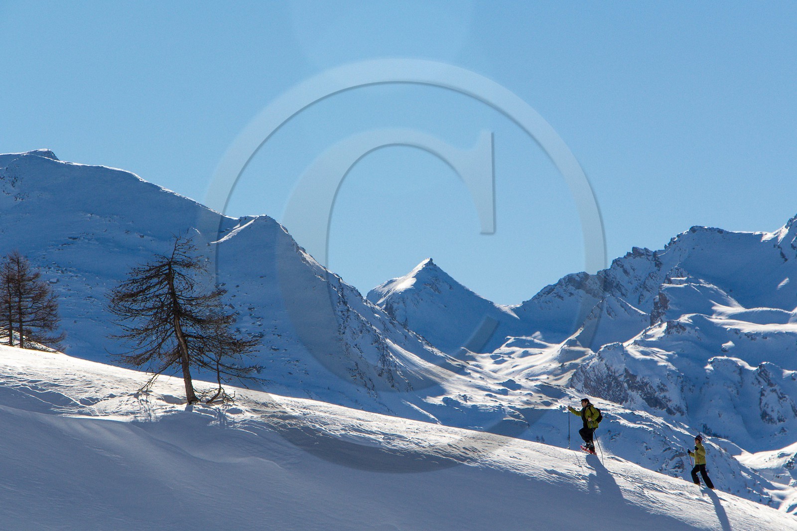 Col de Larche, vallon du lauzanier, randonnée raquettes