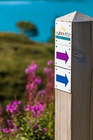 Jardin alpin du Mont-Cenis